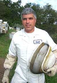 David Saraf